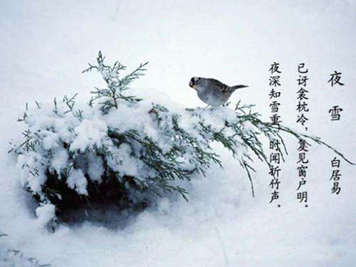 詩歌詩詞翻譯 詩歌詩詞翻譯