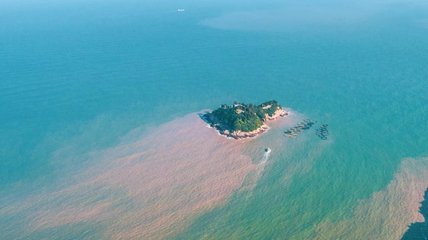 1546825860285835.jpg 2.jpg