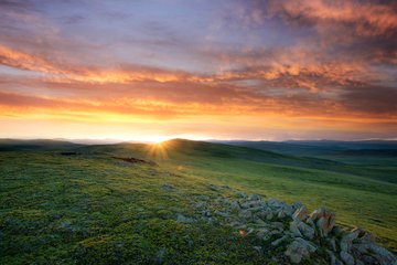 1546843000188492.jpg 2.jpg