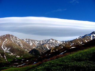 1546843232467875.jpg 2.jpg