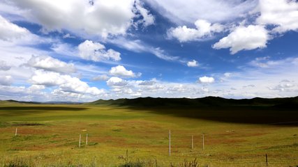 1546866798579200.jpg 2.jpg