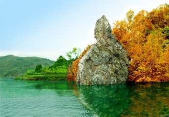 1546920116308141.jpg 1.jpg