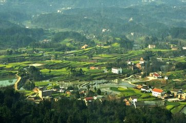 1546920573972644.jpg 2.jpg