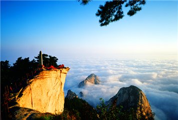 1546920684433695.jpg 1.jpg