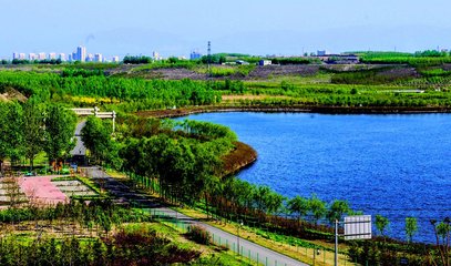 1546920935608219.jpg 2.jpg