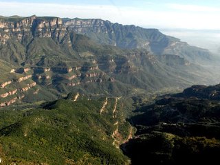 1546924158195086.jpg 1.jpg