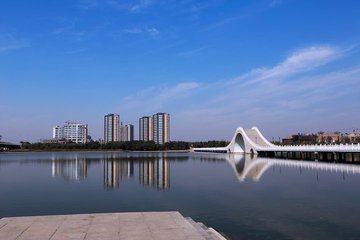 1546925455928629.jpg 1.jpg