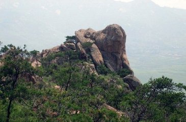 1546945714412474.jpg 2.jpg