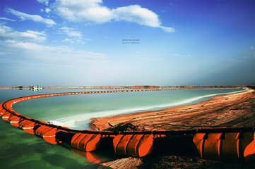 1546948927890873.jpg 1.jpg