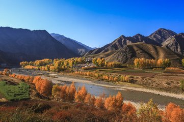 1546949517258806.jpg 1.jpg