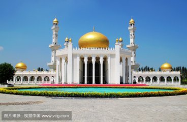 1546993652528828.jpg 1.jpg