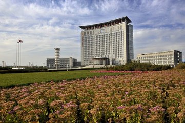 1546997226828016.jpg 1.jpg