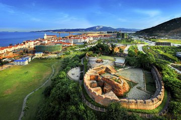 1547012168116518.jpg 2.jpg