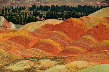 1547034552768899.jpg 1.jpg