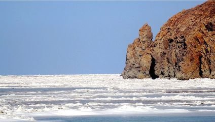 1547035722958613.jpg 1.jpg