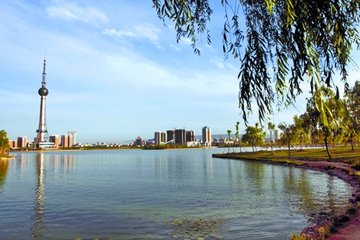 1547080092507256.jpg 1.jpg