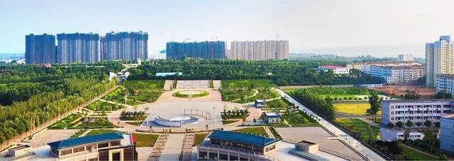 1547105629510526.jpg 1.jpg