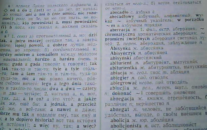 1739755510690743.png 波蘭語翻譯.png