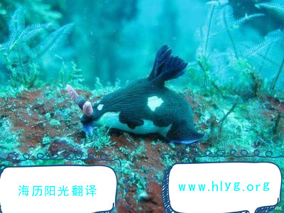 1744761387755616.jpg 導(dǎo)游詞.jpg