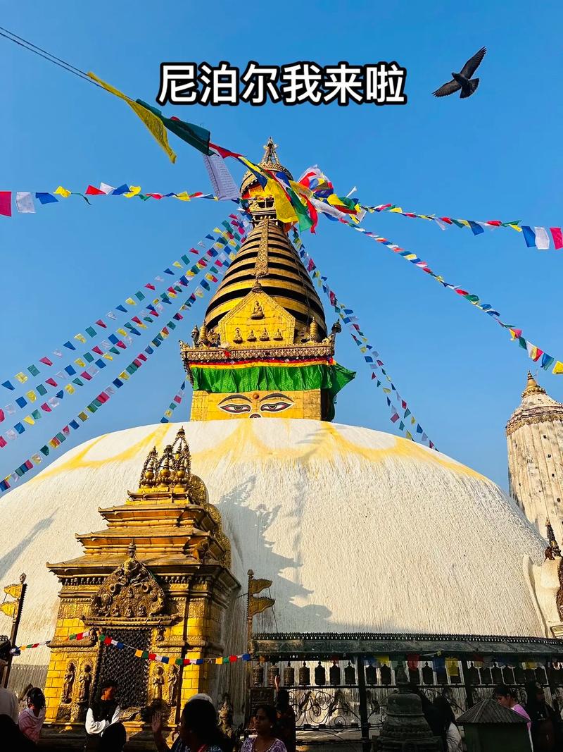 1755129650541200.jpeg 尼泊爾語(yǔ)翻譯.jpeg